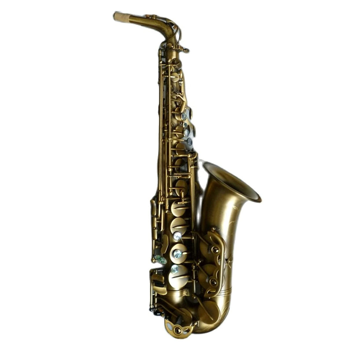 Alto Saxophone Set K15773