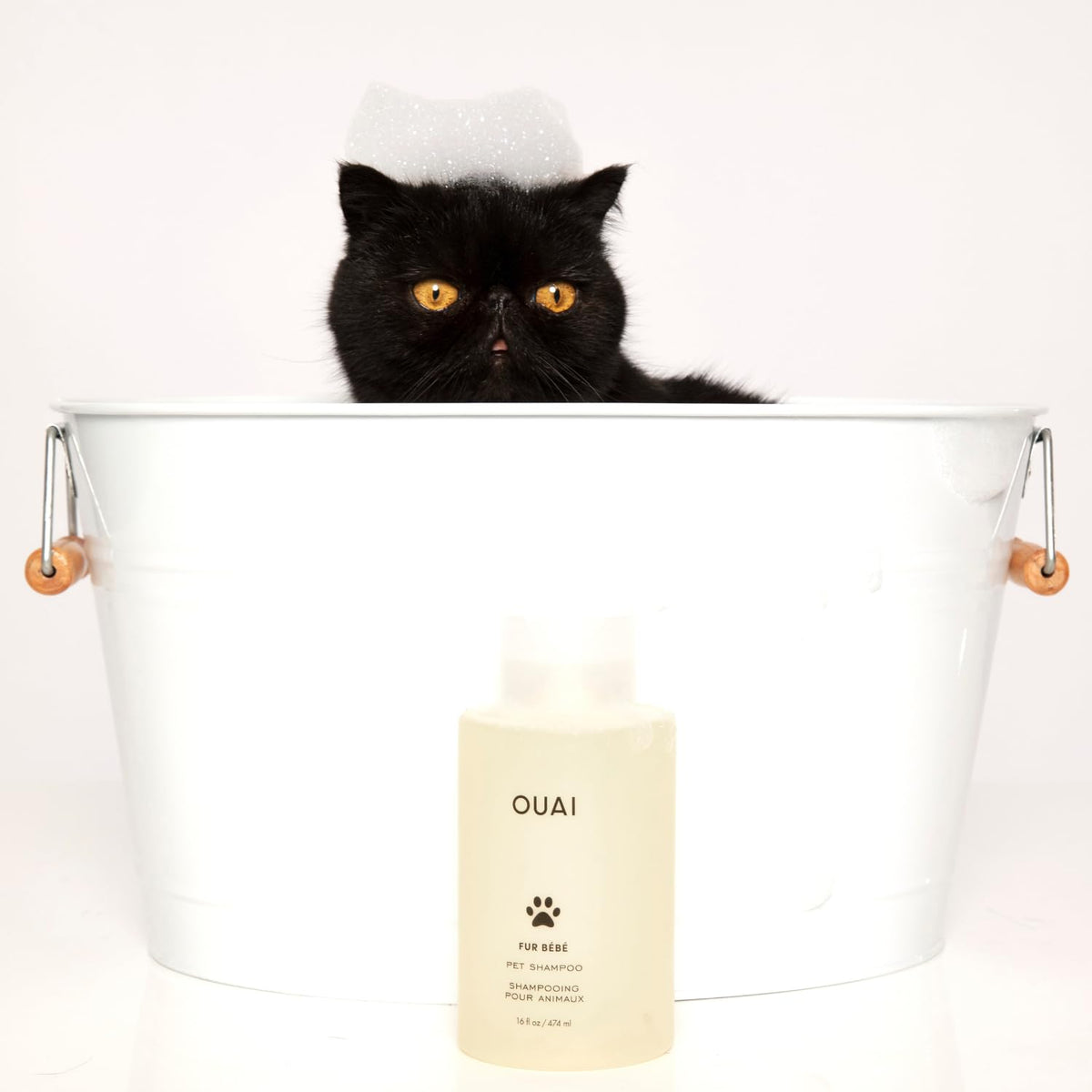 Pet Shampoo 16 Fl oz E294188