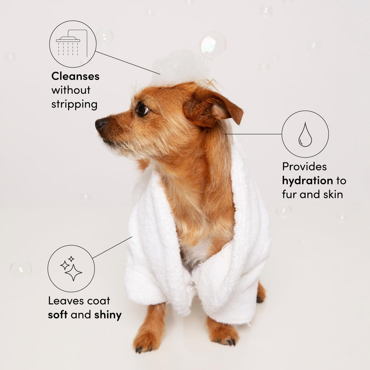 Pet Shampoo 16 Fl oz E294188
