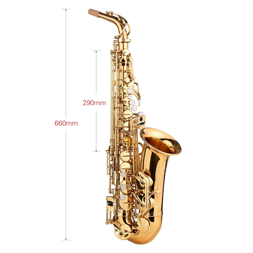 E Flat Alto Saxophone Brass Gold Lacquer K76935