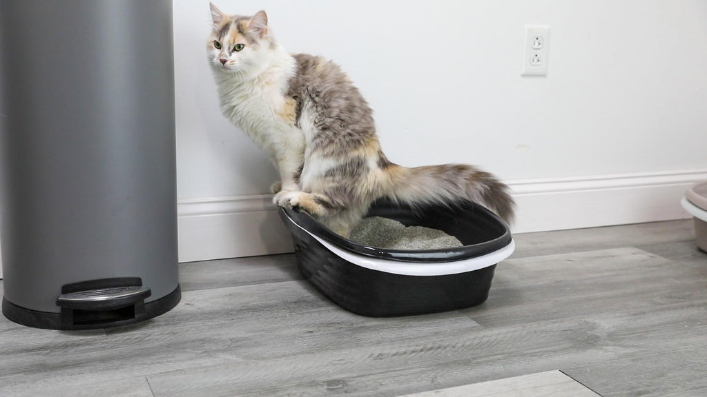 Large Sifting Cat Litter Box X6950