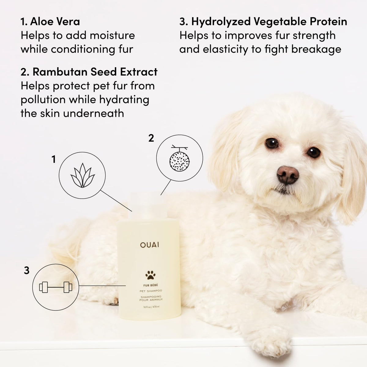 Pet Shampoo 16 Fl oz E294188