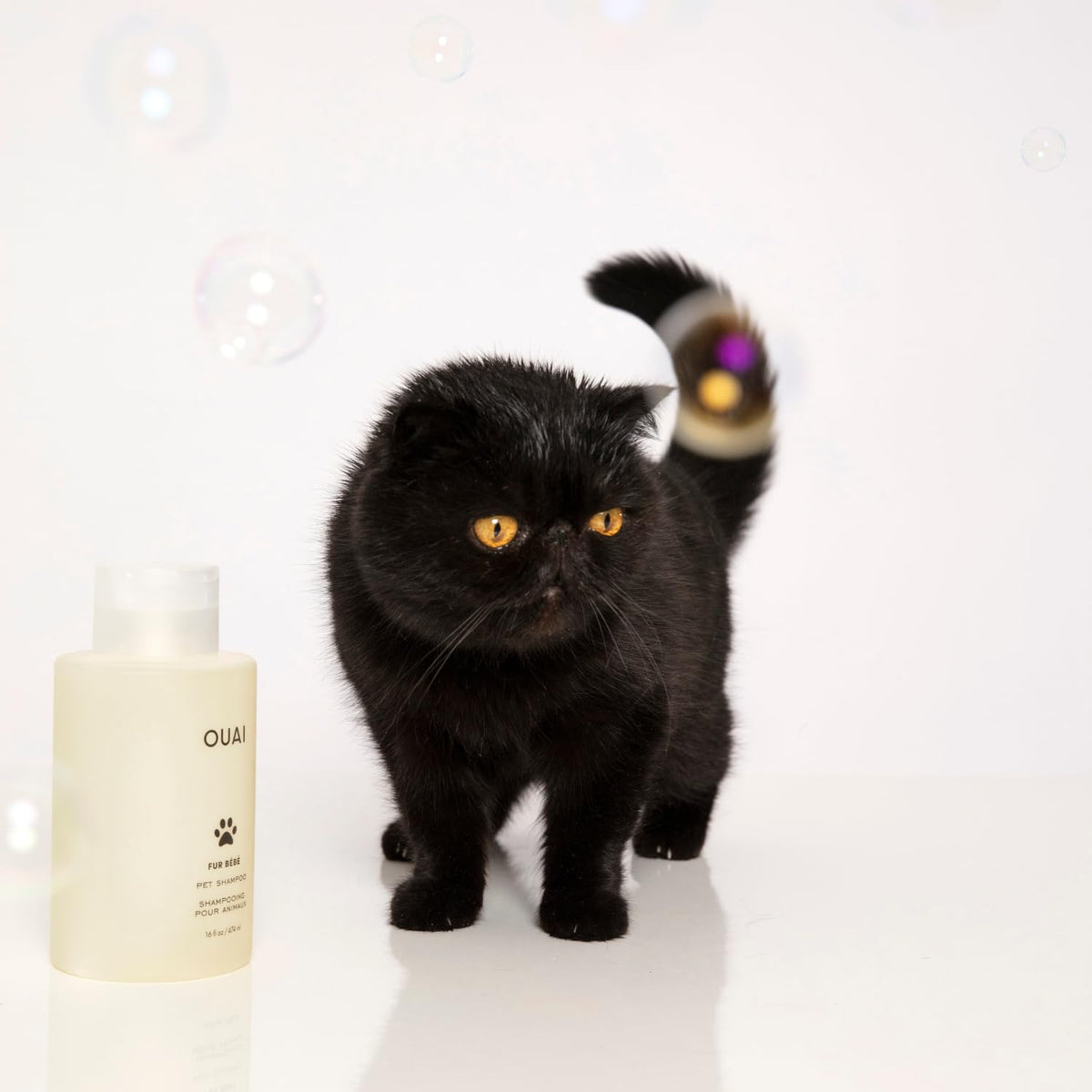 Pet Shampoo 16 Fl oz E294188