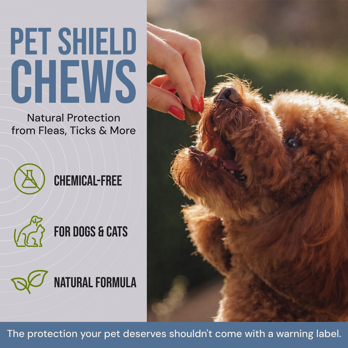 Natural Flea & Tick Prevention Soft Chews C960