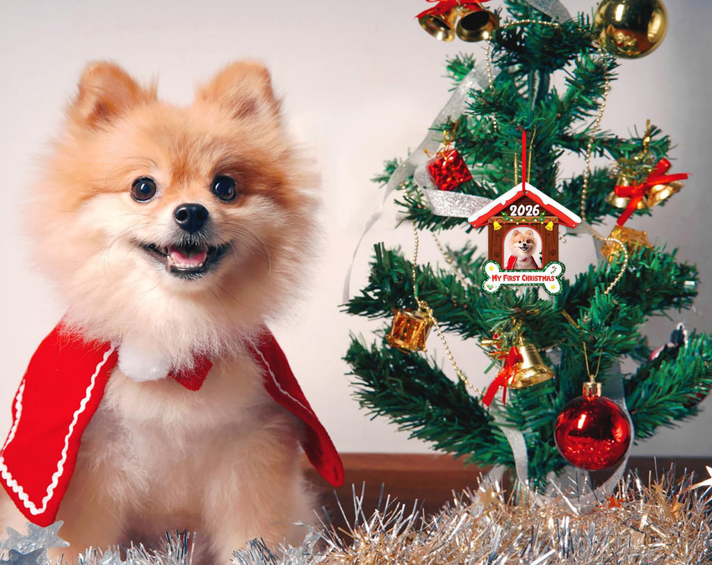 Dog Picture Frame Ornament Q522392