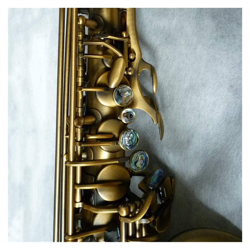 Alto Saxophone Set K15773