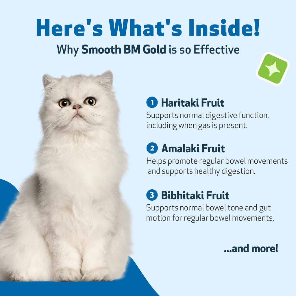 4 oz Cat Bowel Support M2902