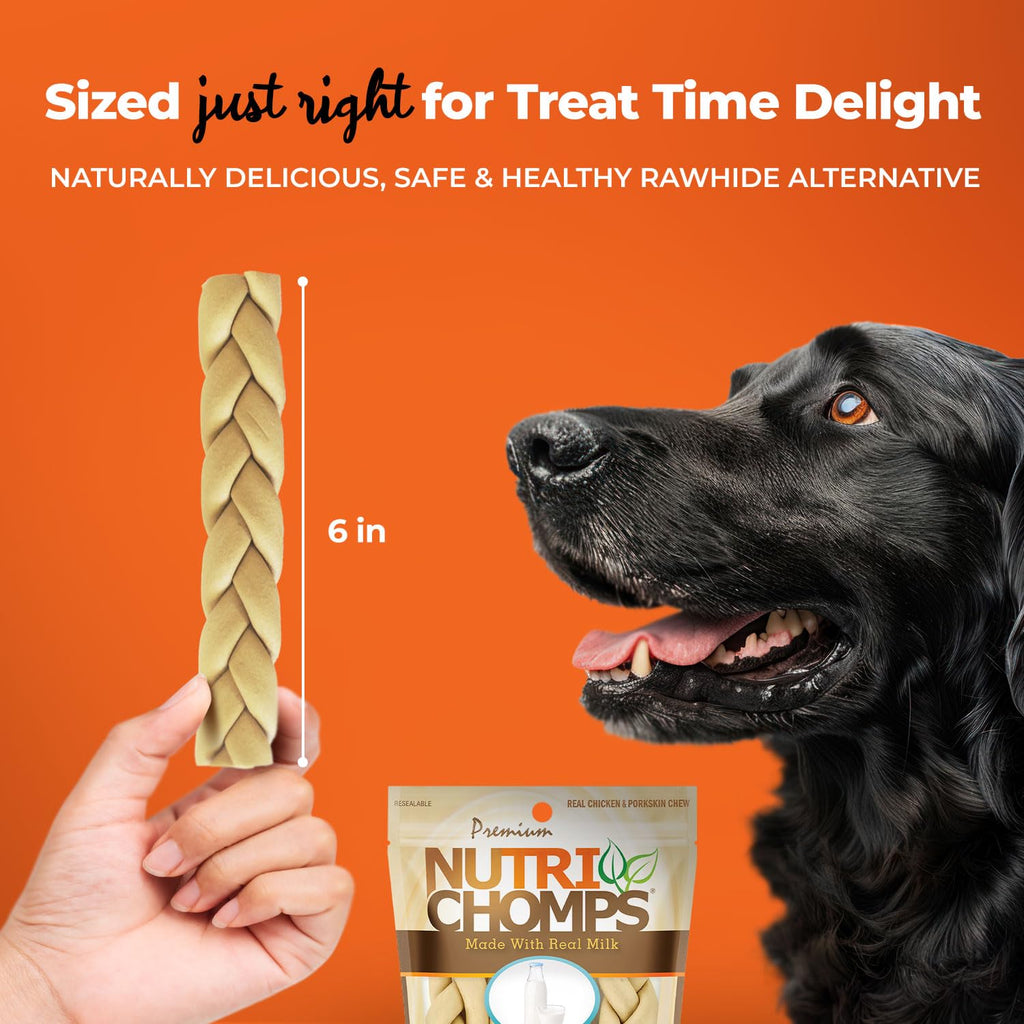 Rawhide Free Dog Chews, Milk Flavor, 6in Braids, 4ct W978800