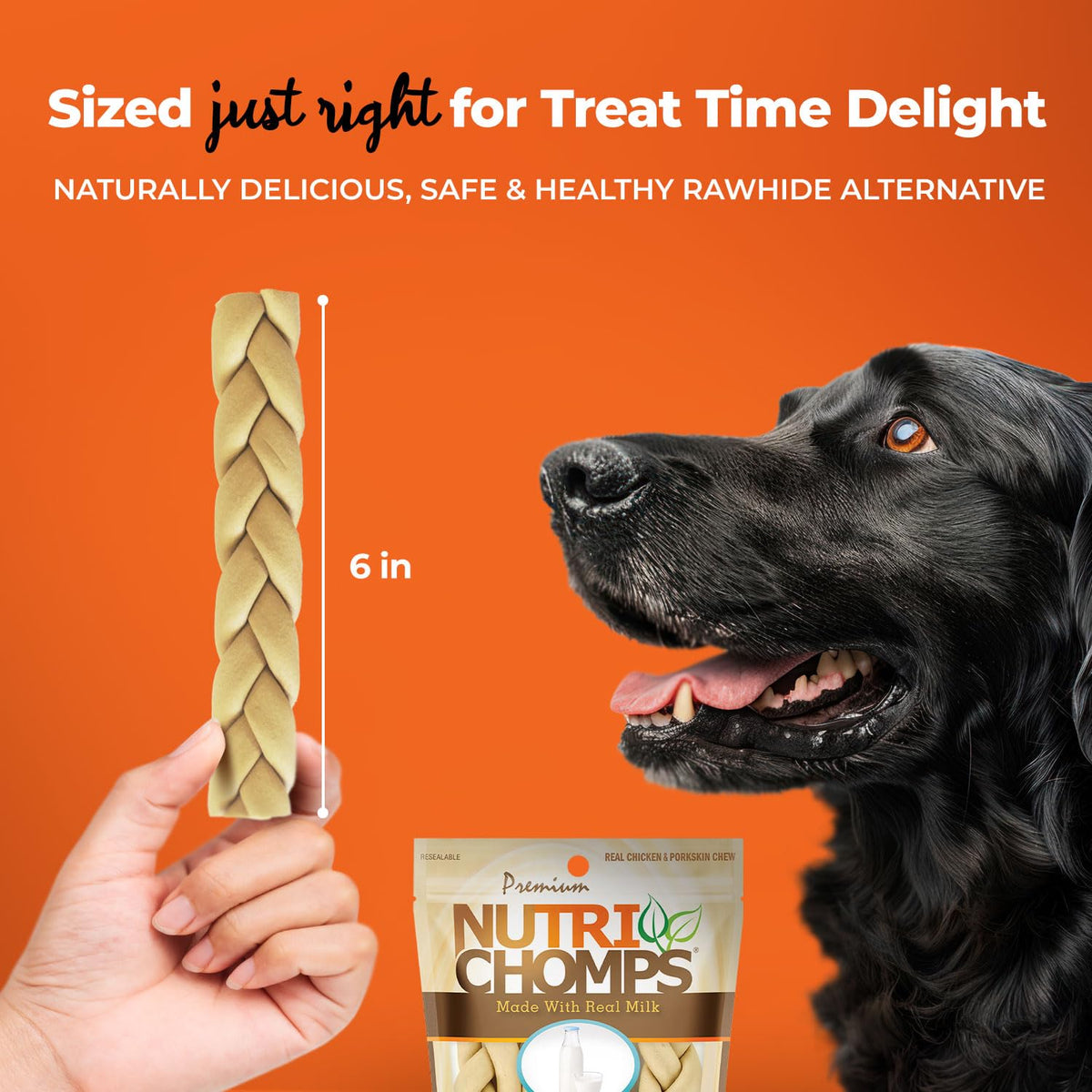 Rawhide Free Dog Chews, Milk Flavor, 6in Braids, 4ct W978800