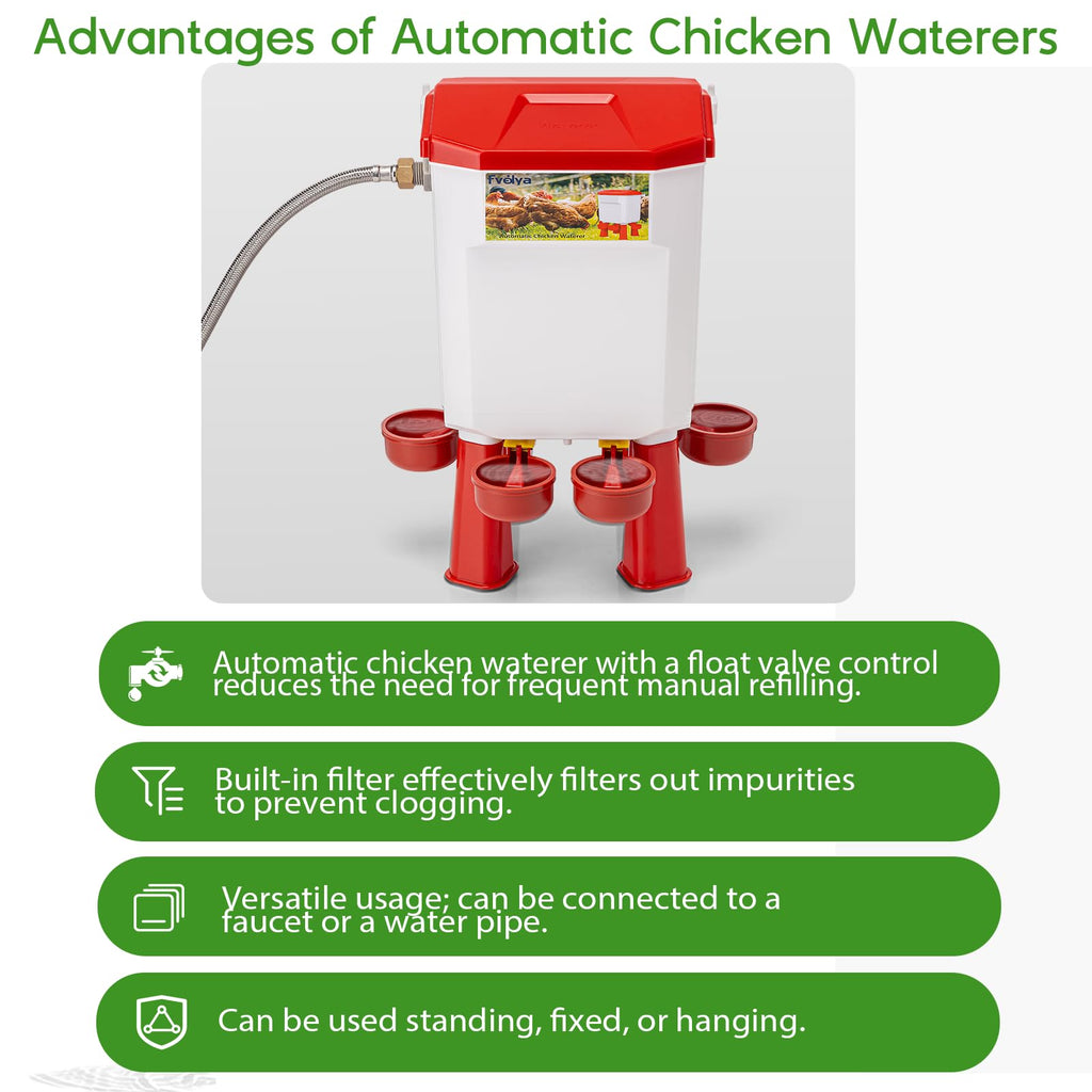 Automatic Chicken Waterer with Four Water Cups V982889
