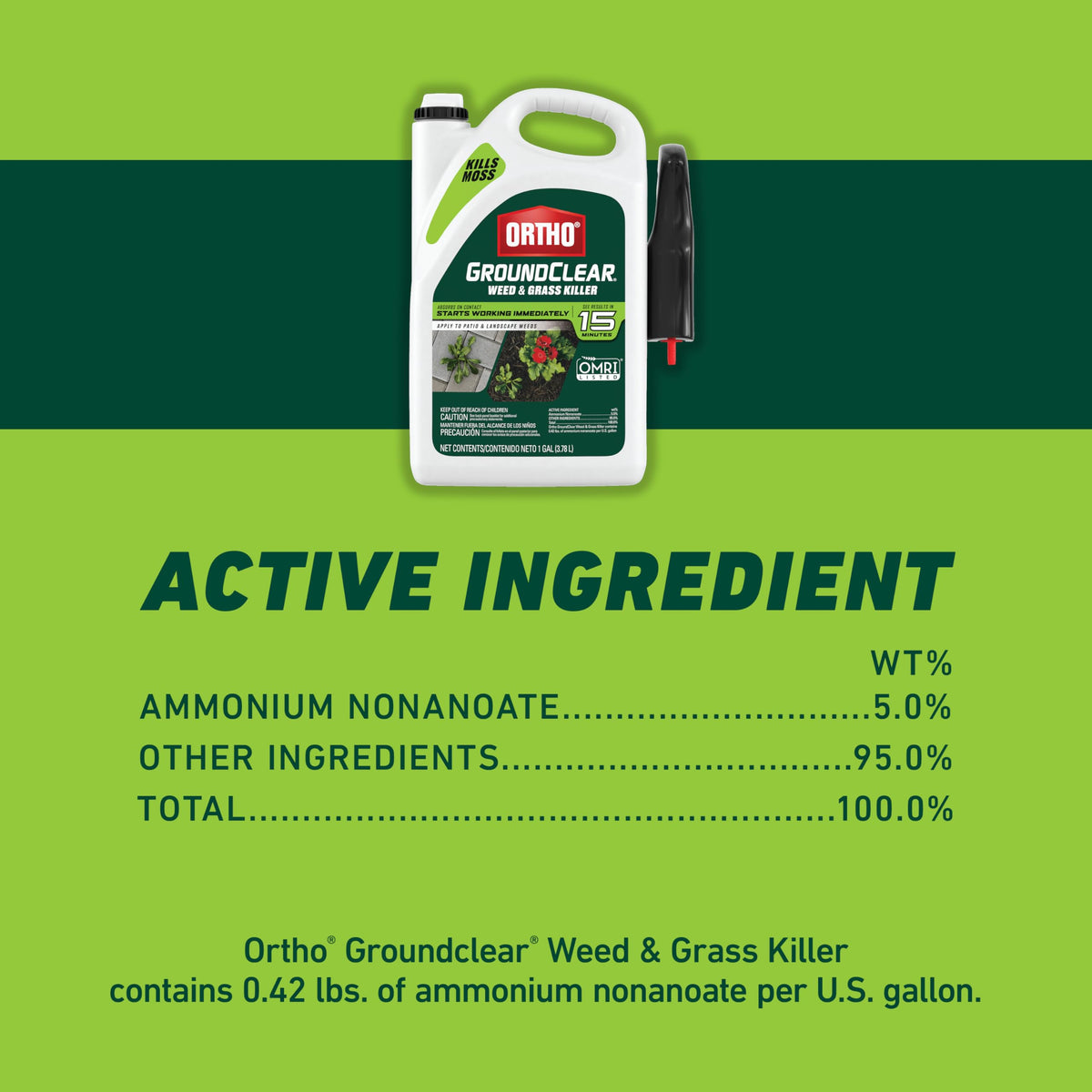 Weed & Grass Killer with Comfort Wand, 1 gal. Y8635
