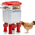 Automatic Chicken Waterer with Four Water Cups V982889