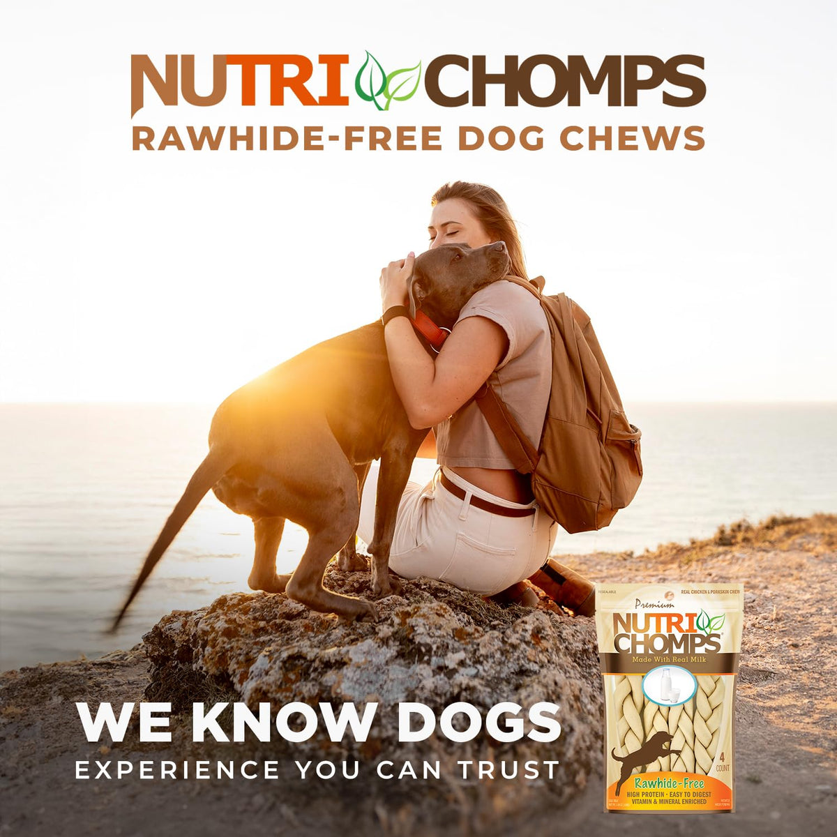 Rawhide Free Dog Chews, Milk Flavor, 6in Braids, 4ct W978800