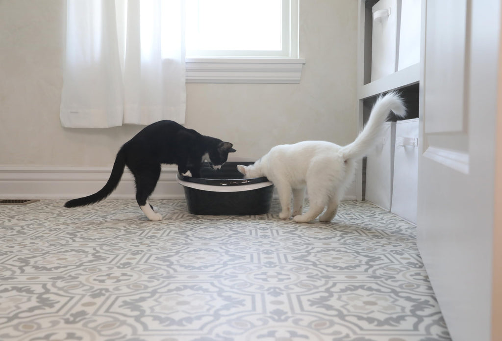 Large Sifting Cat Litter Box X6950