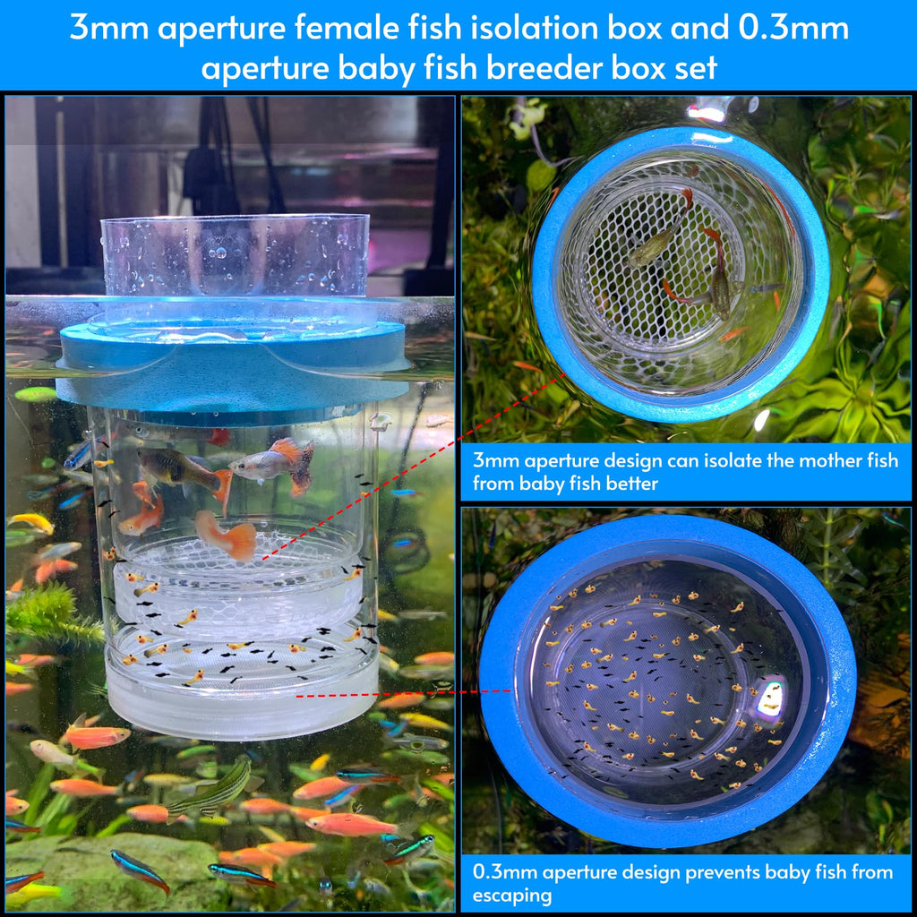 Breeder Box for Fish Tank Isolation Aquarium Separator Hatchery Incubator I83883