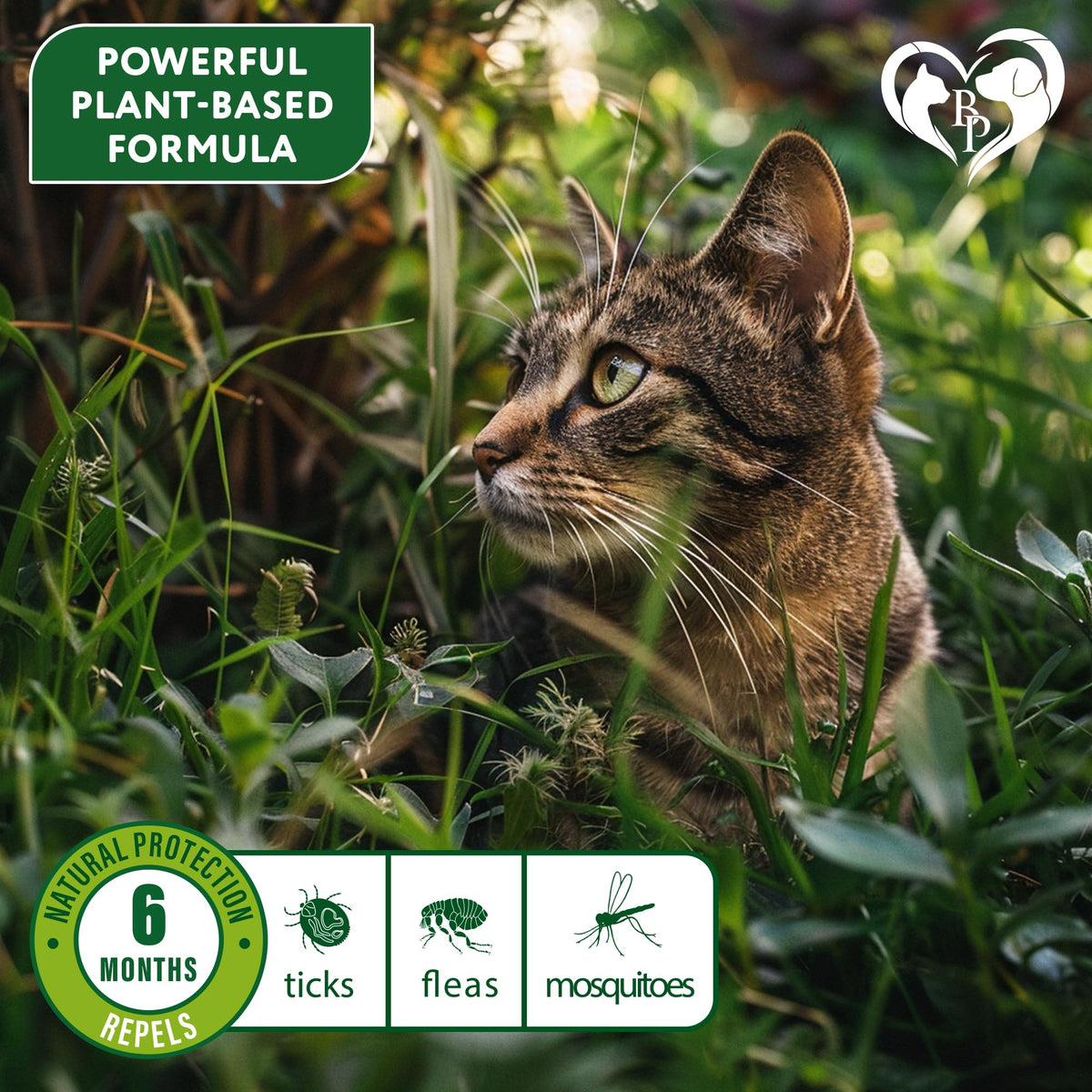 Natural Flea & Tick Collar for Cats 1 Pack D5410