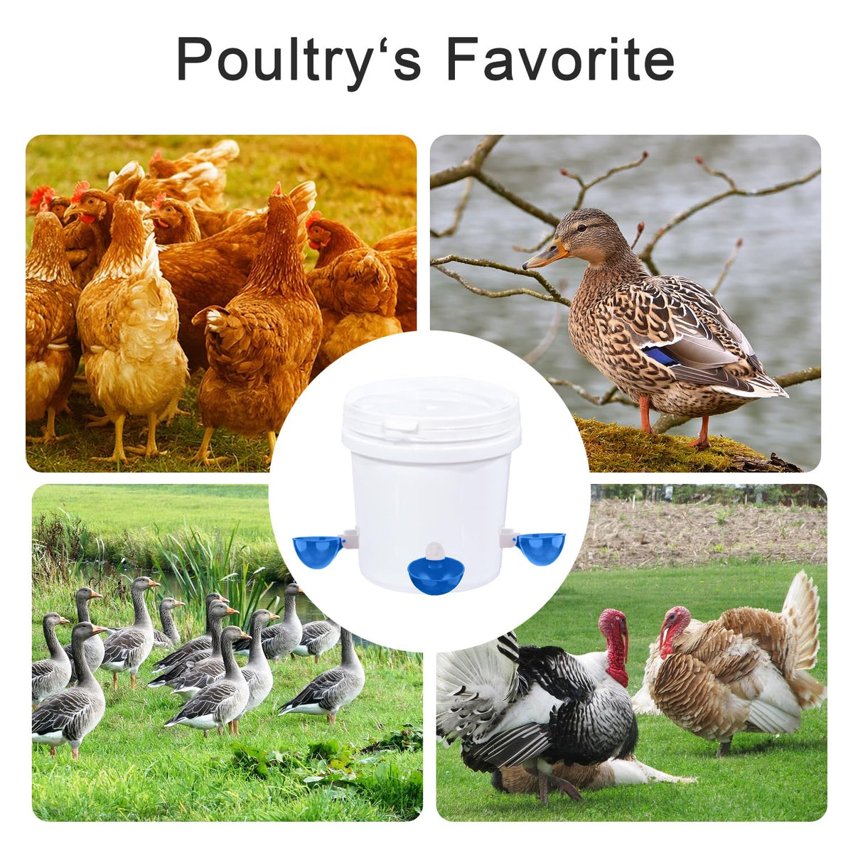 8 Packs Large Blue Chicken Waterer Cups B352939