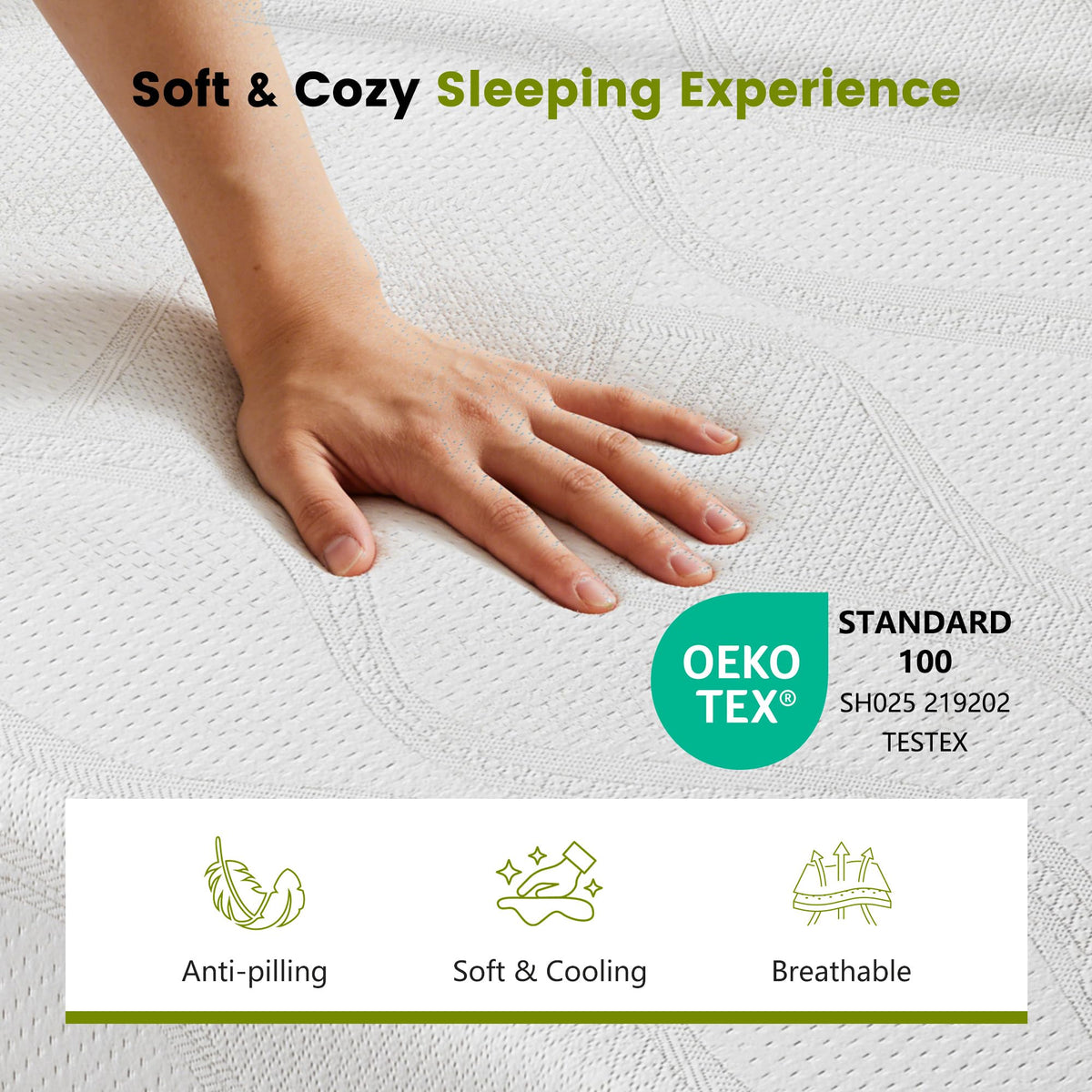 6 Inch Twin Memory Foam Mattress B81190