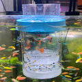 Breeder Box for Fish Tank Isolation Aquarium Separator Hatchery Incubator I83883