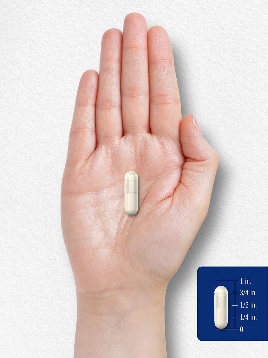 MSM Supplement Capsules 500mg 200 Count O670847