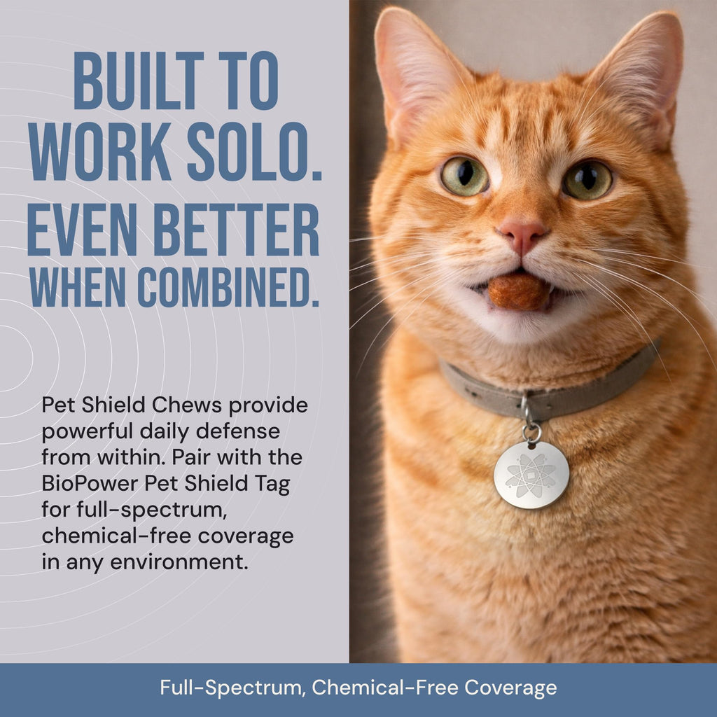 Natural Flea & Tick Prevention Soft Chews C960