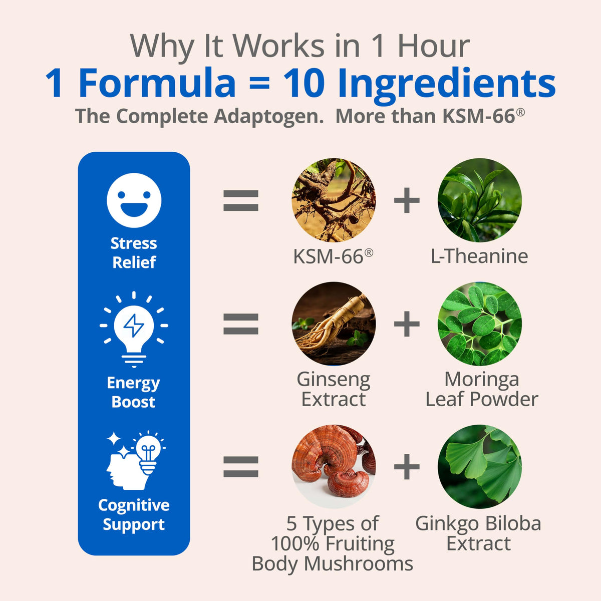 Ashwagandha Supplements W46378