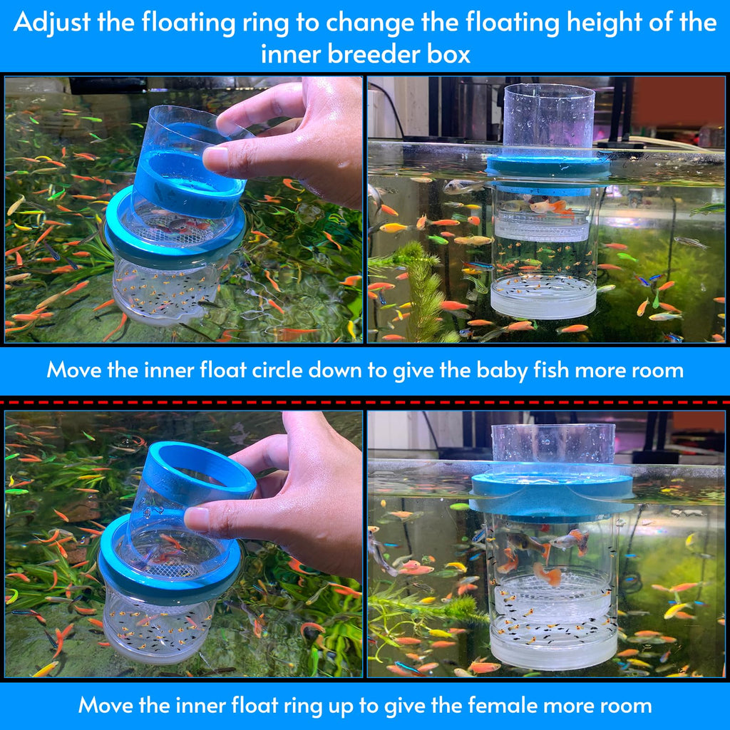 Breeder Box for Fish Tank Isolation Aquarium Separator Hatchery Incubator I83883