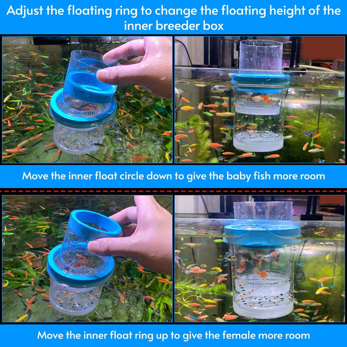 Breeder Box for Fish Tank Isolation Aquarium Separator Hatchery Incubator I83883
