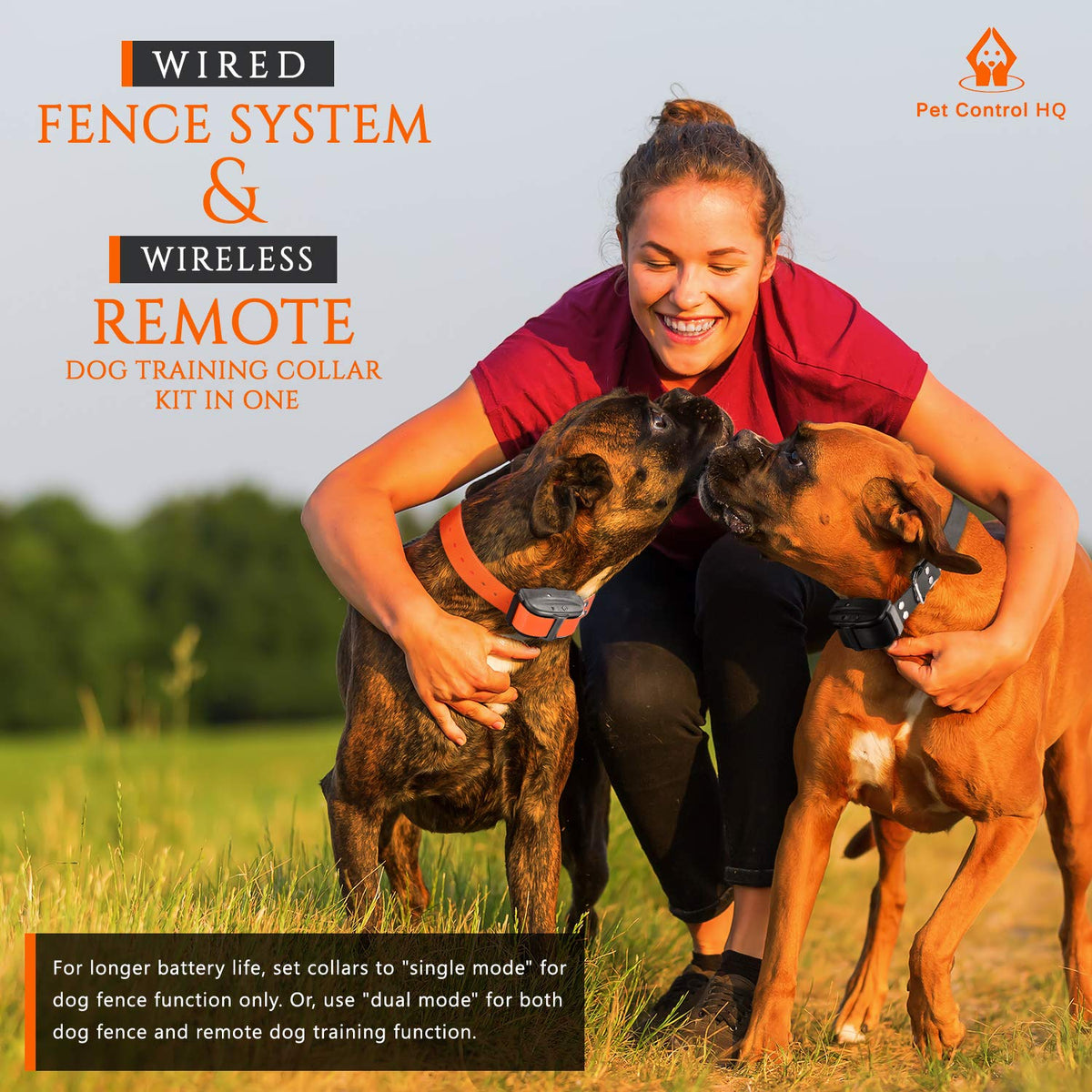 Wireless Dog Fence System with Remote A49615