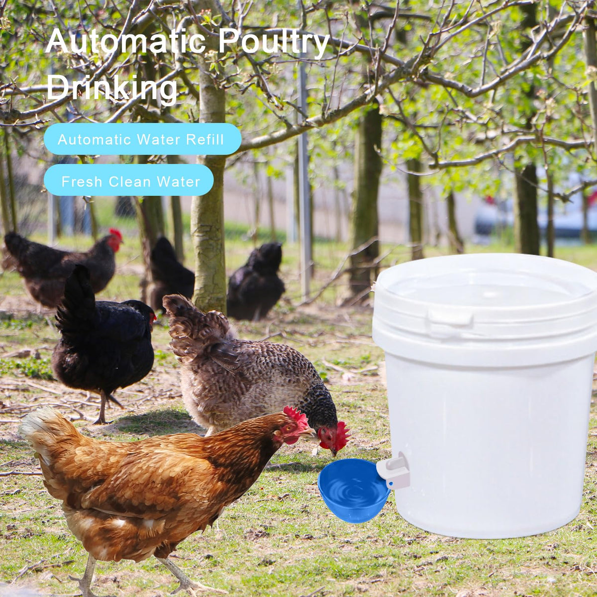 8 Packs Large Blue Chicken Waterer Cups B352939