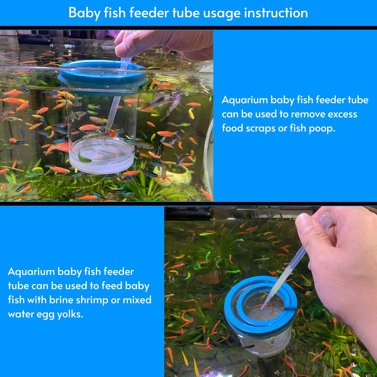 Breeder Box for Fish Tank Isolation Aquarium Separator Hatchery Incubator I83883