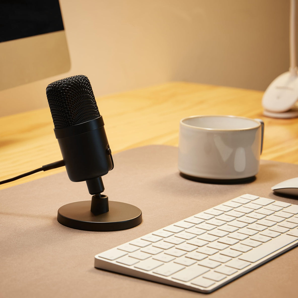 USB Condenser Microphone with Adjustable Stand, Black T9159