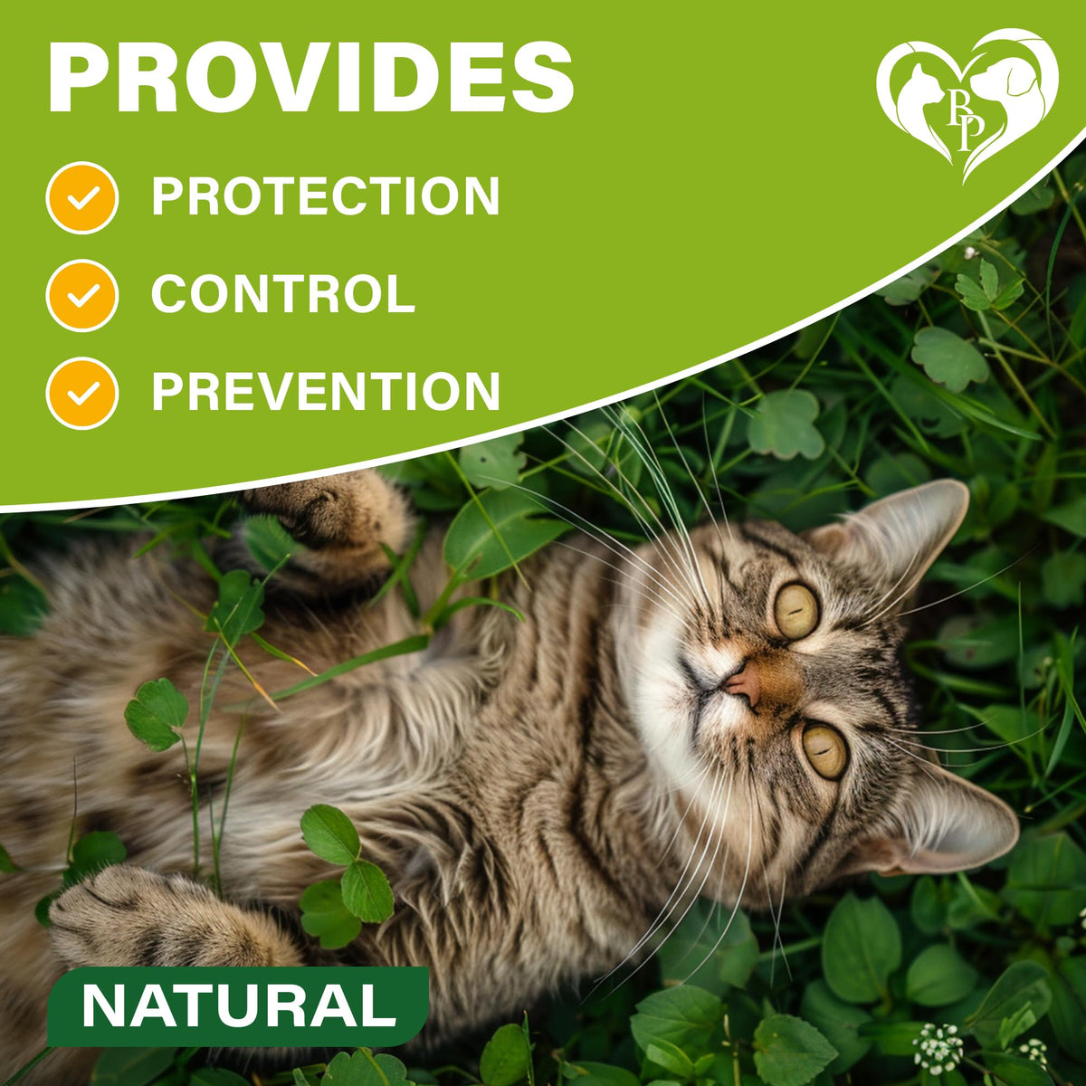 Natural Flea & Tick Collar for Cats 1 Pack D5410