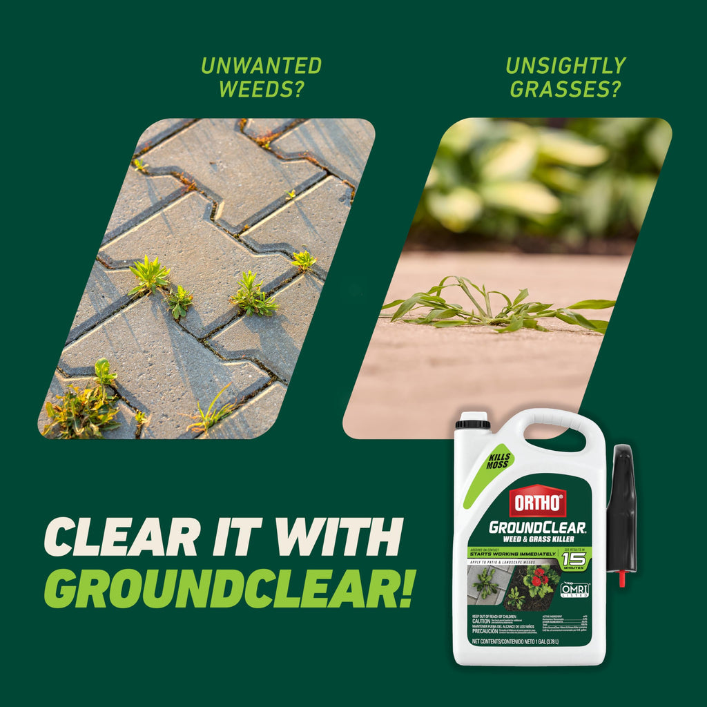Weed & Grass Killer with Comfort Wand, 1 gal. Y8635
