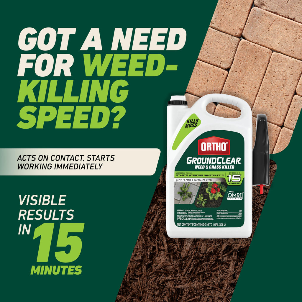 Weed & Grass Killer with Comfort Wand, 1 gal. Y8635