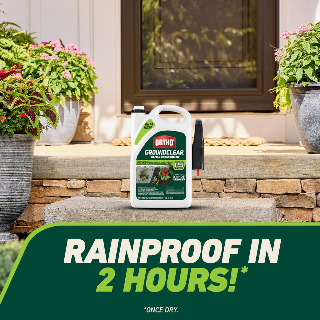 Weed & Grass Killer with Comfort Wand, 1 gal. Y8635